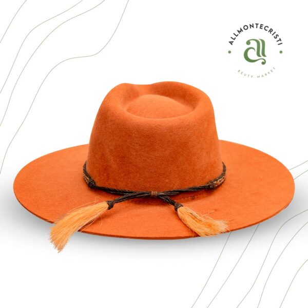 Classic Felt Hat With Ponytail Band